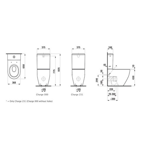 Laufen Rimless