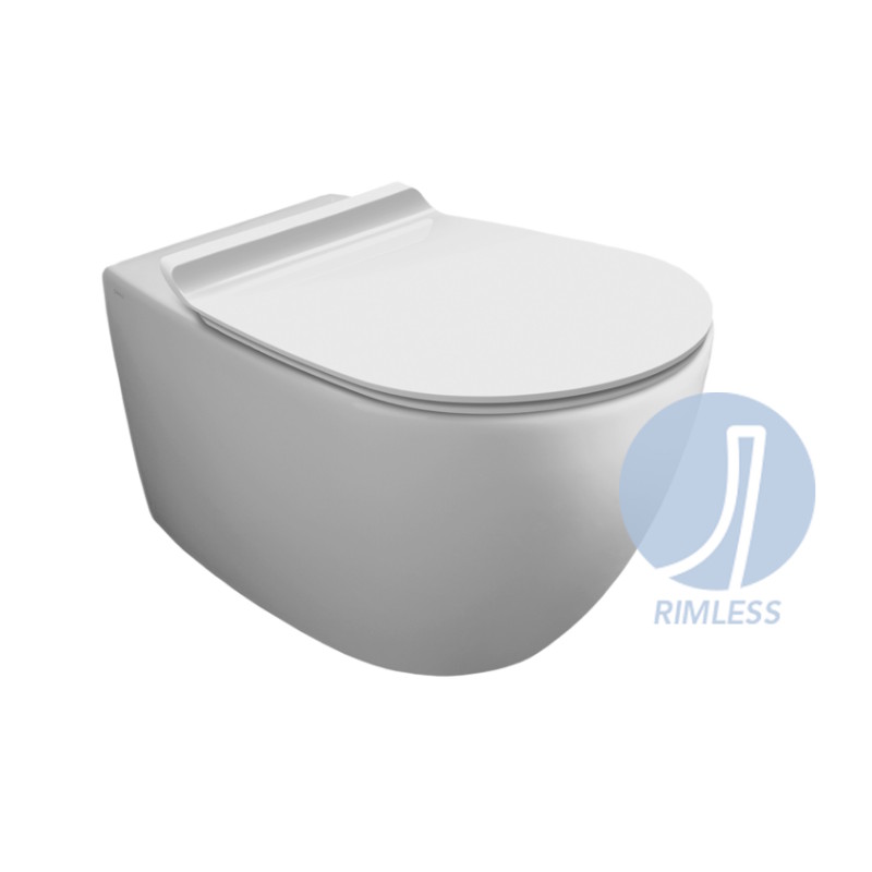 Hanging Toilet